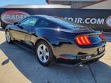 Used 2019 Ford Mustang Coupe image 5