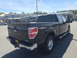 Used 2013 Ford F150 XLT w/ Mid Equipment Group image 4