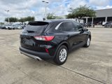 Used 2022 Ford Escape SE w/ Convenience Package image 5