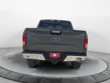 Used 2016 Ford F150 XLT w/ Equipment Group 302A Luxury image 4