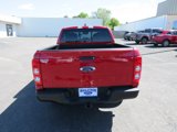Used 2021 Ford Ranger XL w/ FX4 Off-Road Package image 6