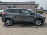 Used 2016 Ford Escape Titanium image 4