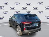 New 2025 Ford Escape ST-Line w/ Equipment Group 301A image 3