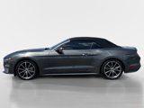Certified 2019 Ford Mustang Premium w/ Equipment Group 201A image 3