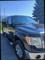 Used 2009 Ford F150 XLT image 3