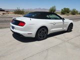 Certified 2019 Ford Mustang Premium image 5