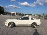 Used 2009 Ford Mustang Shelby GT500 image 2