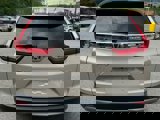 Used 2019 Honda CR-V EX image 6