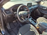 Used 2024 Ford Escape ST-Line w/ Equipment Group 301A image 4