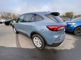 New 2025 Ford Escape Active w/ Cold Weather Package image 5