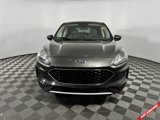 Used 2020 Ford Escape SE image 2