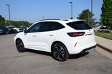 Used 2023 Ford Escape ST-Line Elite w/ Premium Technology Package image 3