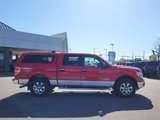 Used 2014 Ford F150 XLT w/ Equipment Group 302A Luxury image 2