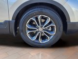 Certified 2020 Honda CR-V EX-L image 6