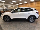 New 2025 Ford Escape ST-Line w/ Tech Pack #1 image 4
