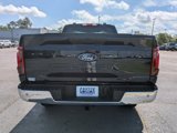 New 2025 Ford F150 XL w/ Equipment Group 103A High image 5
