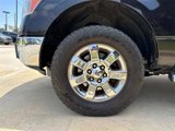 Used 2013 Ford F150 XLT w/ Luxury Equipment Group image 5