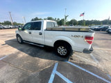 Used 2013 Ford F150 XLT w/ Luxury Equipment Group image 4