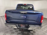 Used 2016 Ford F150 XLT w/ Equipment Group 302A Luxury image 5