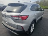 Used 2020 Ford Escape SE image 4