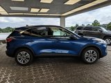 Certified 2022 Ford Escape SEL image 4