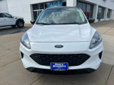Used 2022 Ford Escape SE w/ SE Sport Appearance Package image 3