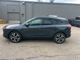 Used 2022 Ford Escape SEL w/ SEL Stealth AWD Package image 4