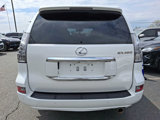 Used 2019 Lexus GX 460 Premium image 5