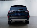 Used 2022 Ford Escape SE w/ Cold Weather Package image 6