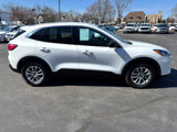 Used 2022 Ford Escape SE w/ Convenience Package image 6