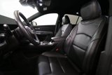 Used 2024 Cadillac XT4 Premium Luxury image 5