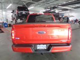Certified 2023 Ford F150 XLT w/ Equipment Group 302A High image 5