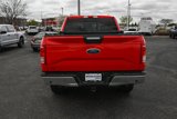 Used 2016 Ford F150 XLT w/ Equipment Group 302A Luxury image 4