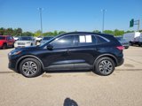 Used 2020 Ford Escape SEL image 2