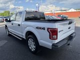 Used 2015 Ford F150 XLT image 5
