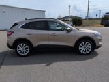 Used 2021 Ford Escape Titanium w/ Titanium Elite Package image 6