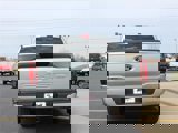 New 2025 Ford F150 XLT w/ Equipment Group 301A Standard image 6