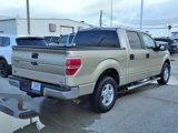 Used 2010 Ford F150 XLT image 2