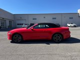 Used 2023 Ford Mustang Premium image 4