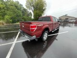 Used 2014 Ford F150 XLT w/ Equipment Group 302A Luxury image 5