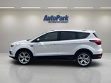 Used 2019 Ford Escape Titanium image 4