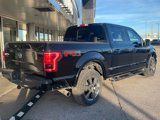 Used 2017 Ford F150 Lariat w/ Equipment Group 502A Luxury image 3