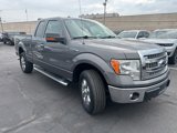 Used 2013 Ford F150 XLT w/ Luxury Equipment Group image 3