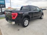 Used 2023 Ford F150 XLT image 4