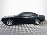 Used 2019 Dodge Challenger SXT image 5