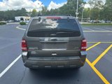 Used 2011 Ford Escape Limited w/ 302A Rapid Spec Order Code image 6