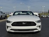 Used 2022 Ford Mustang Premium image 2
