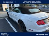 Used 2020 Ford Mustang Premium image 4