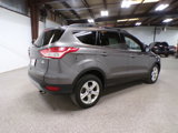 Used 2014 Ford Escape SE w/ Equipment Group 201A image 5