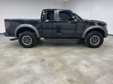 Used 2010 Ford F150 Raptor image 5